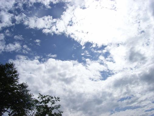 f0118332_2343476.jpg