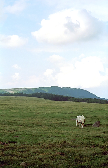 d0001533_20241460.jpg