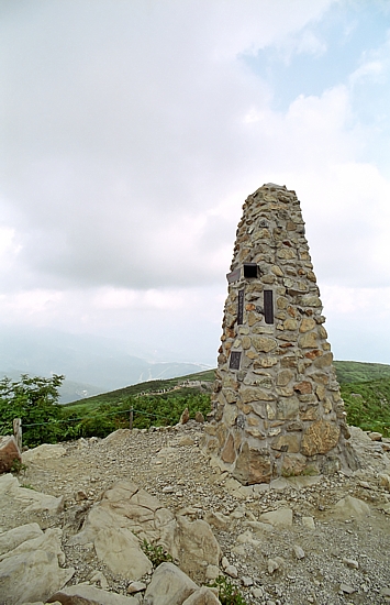 d0001533_20322975.jpg