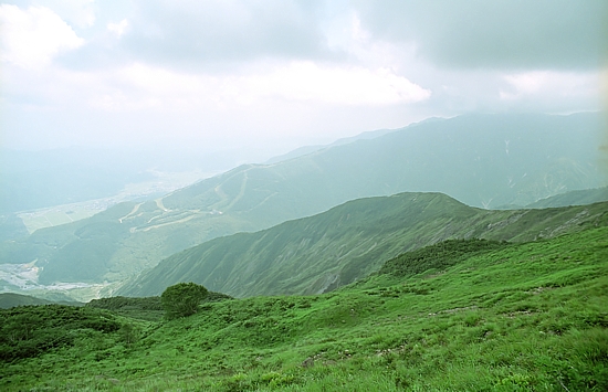 d0001533_20324236.jpg