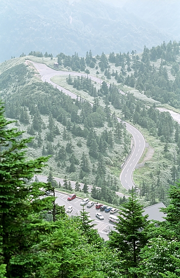 d0001533_20391349.jpg