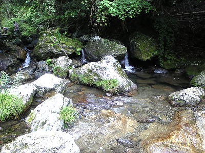 f0138934_20261897.jpg