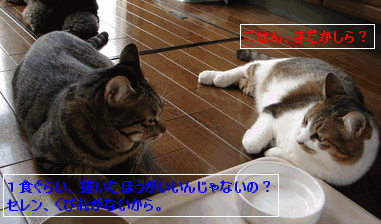 c0136736_16112527.gif