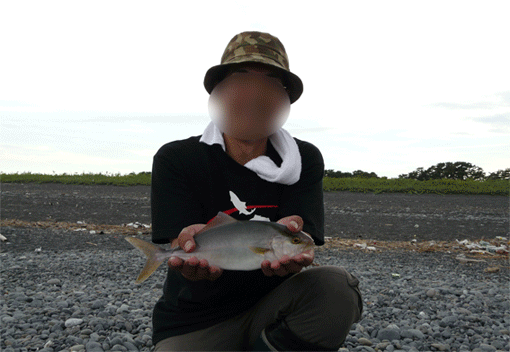 a0056140_236087.gif