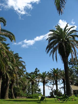 f0053847_2065211.jpg
