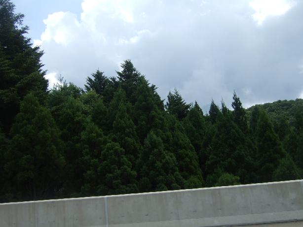 d0113249_19591579.jpg