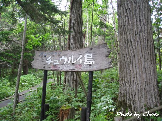 c0004750_222687.jpg