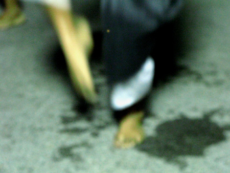 b0049152_11485715.jpg