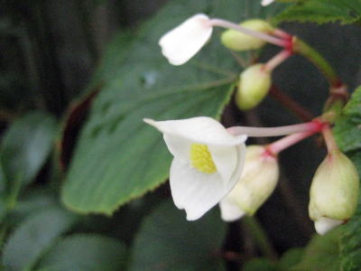c0147952_20243713.jpg