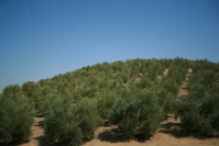 f0100660_10304718.jpg