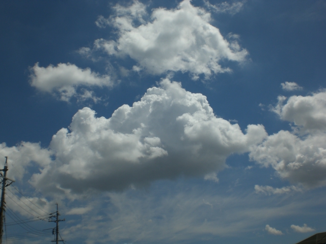 a0108963_19474257.jpg