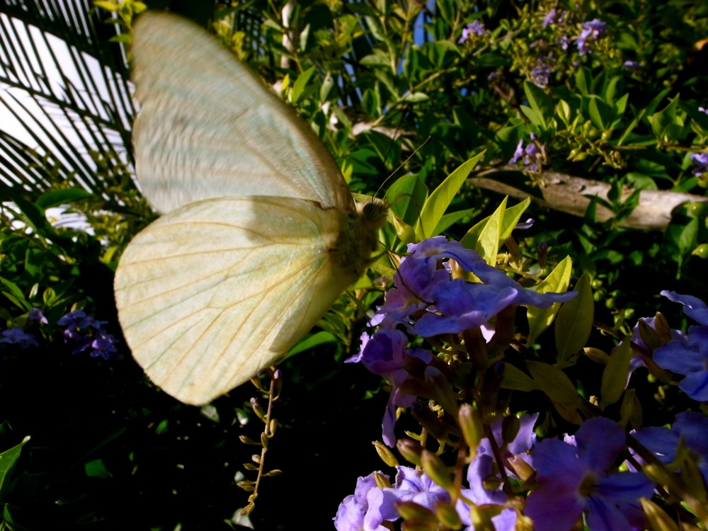 c0132571_0124227.jpg