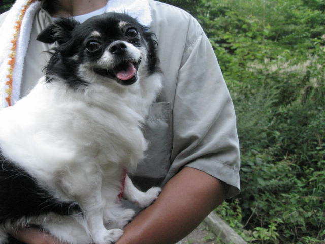 d0070473_101039100.jpg
