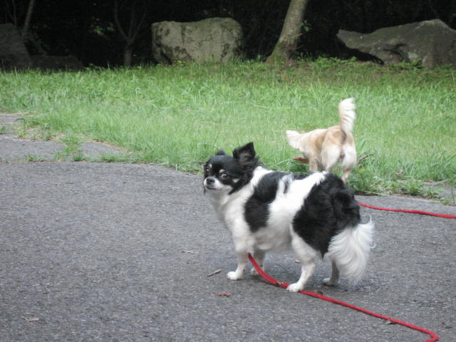 d0070473_1075025.jpg