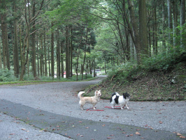 d0070473_9201011.jpg