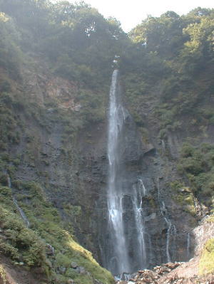 d0070473_933367.jpg