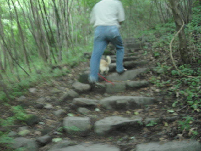 d0070473_9365427.jpg