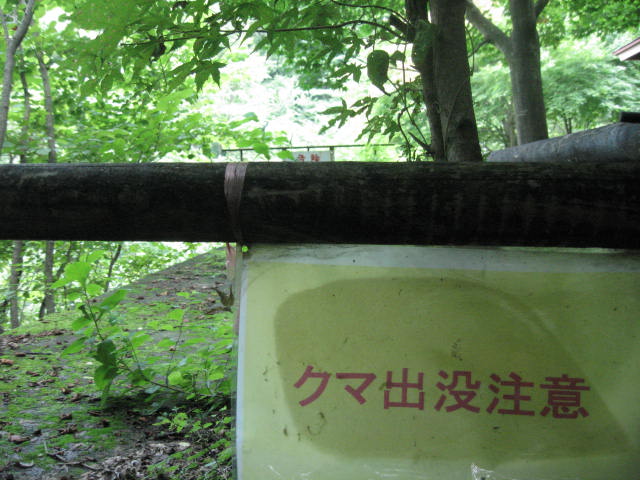 d0070473_940161.jpg
