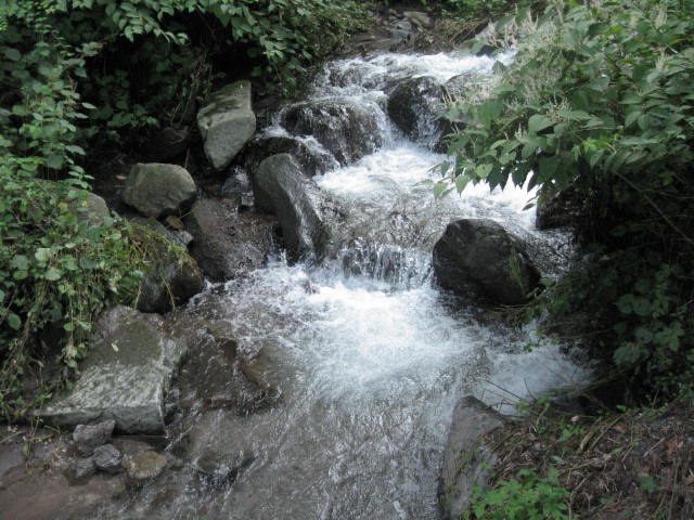 d0070473_9481677.jpg