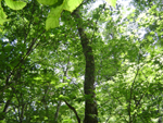 b0105674_19202268.jpg