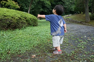 a0102580_20115198.jpg