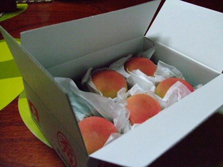 c0078480_17251142.jpg