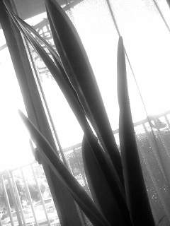 f0100480_18385996.jpg
