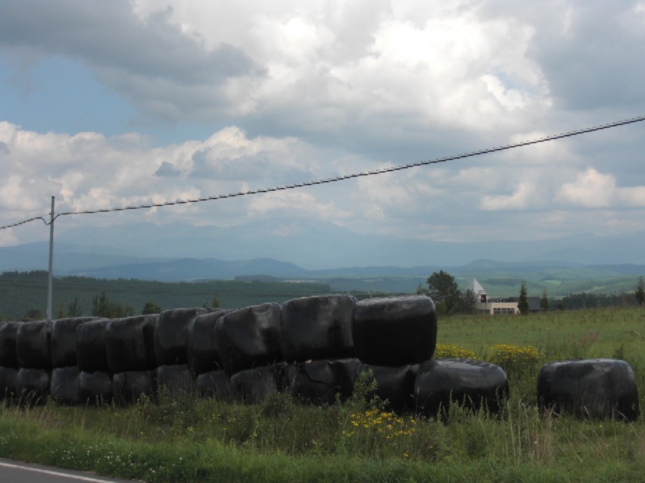e0027681_2217173.jpg
