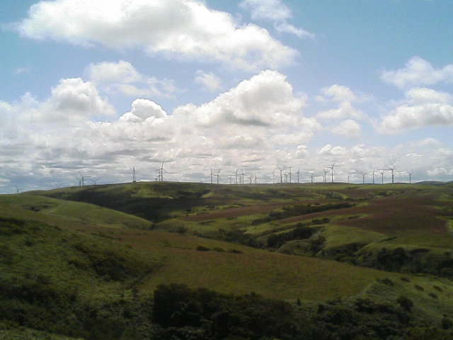 b0127783_20493360.jpg