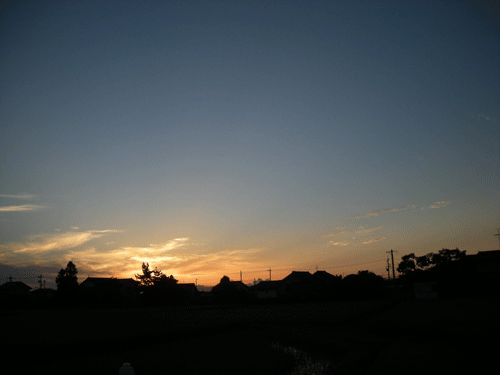e0066883_20465655.gif
