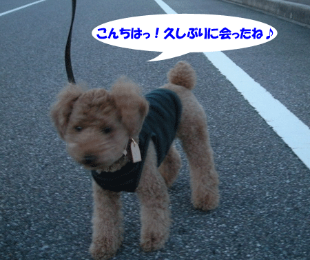e0066883_20564565.gif
