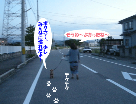 e0066883_21322052.gif