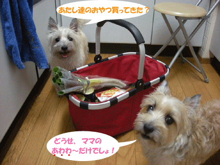 e0066883_2142141.gif