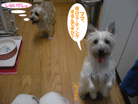 e0066883_2153214.gif