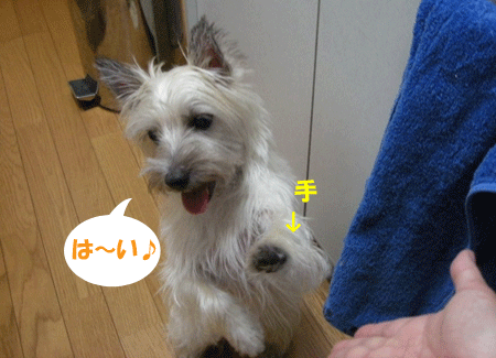 e0066883_215548.gif