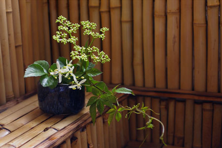 d0039584_22534839.jpg
