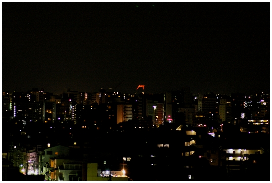 b0080789_135959.jpg