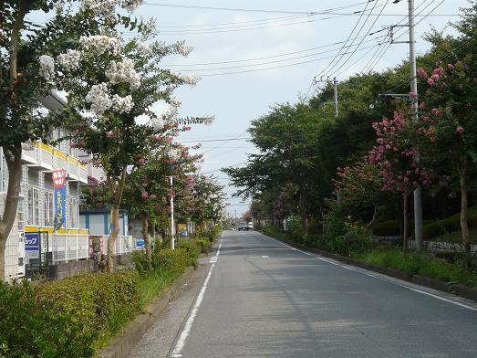 d0145794_1824234.jpg