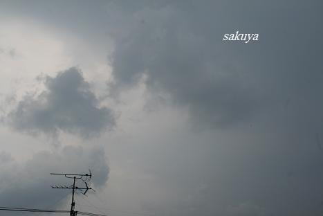 e0122194_21291762.jpg