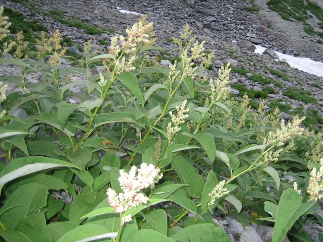 c0147398_22295969.jpg