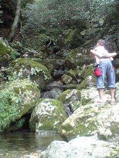 f0001203_15281056.jpg