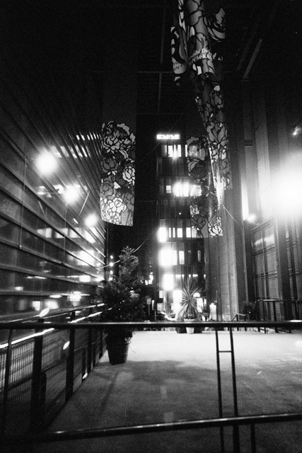 c0090304_635297.jpg