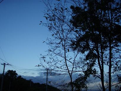 f0077807_11133290.jpg