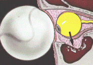 b0112009_235634100.gif