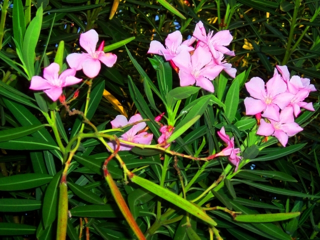a0000014_1781217.jpg
