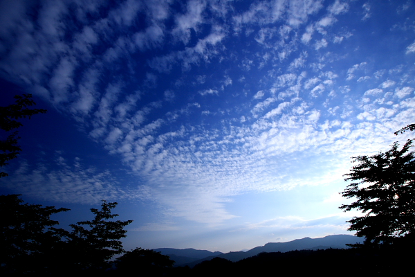 e0121814_00659.jpg