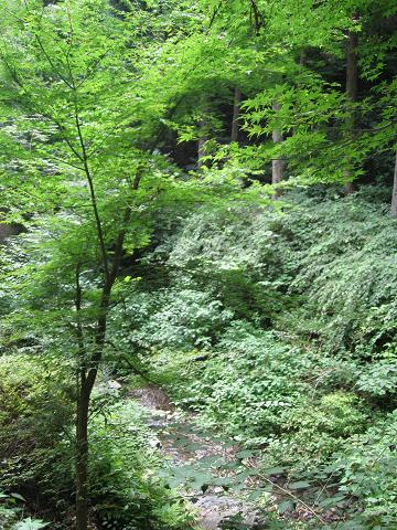b0109220_1763819.jpg