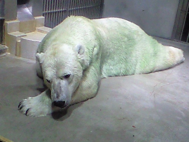 e0123920_10354978.jpg
