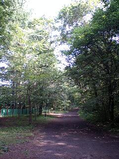 b0102023_18213630.jpg