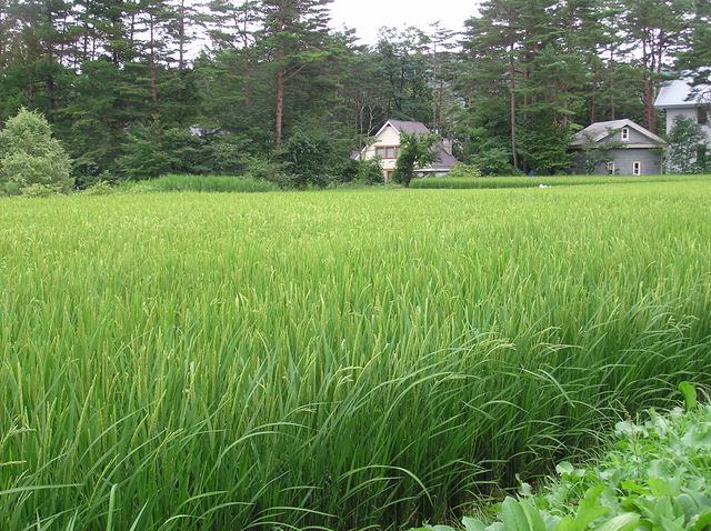 f0128723_3213330.jpg